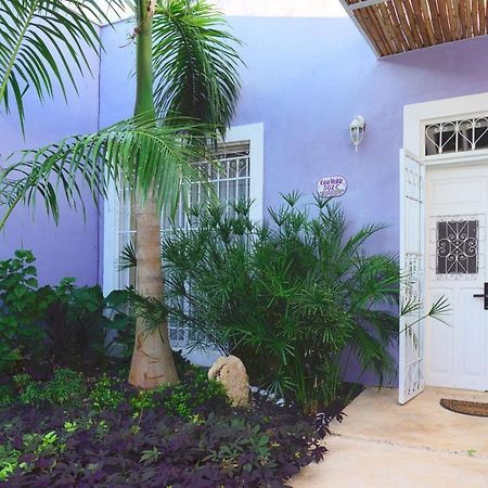 Casa Violeta Βίλα Mérida Εξωτερικό φωτογραφία