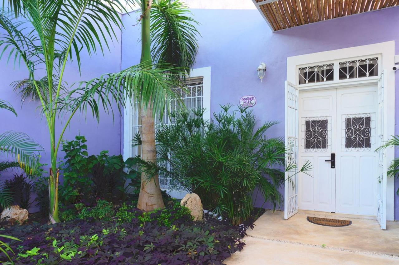 Casa Violeta Βίλα Mérida Εξωτερικό φωτογραφία