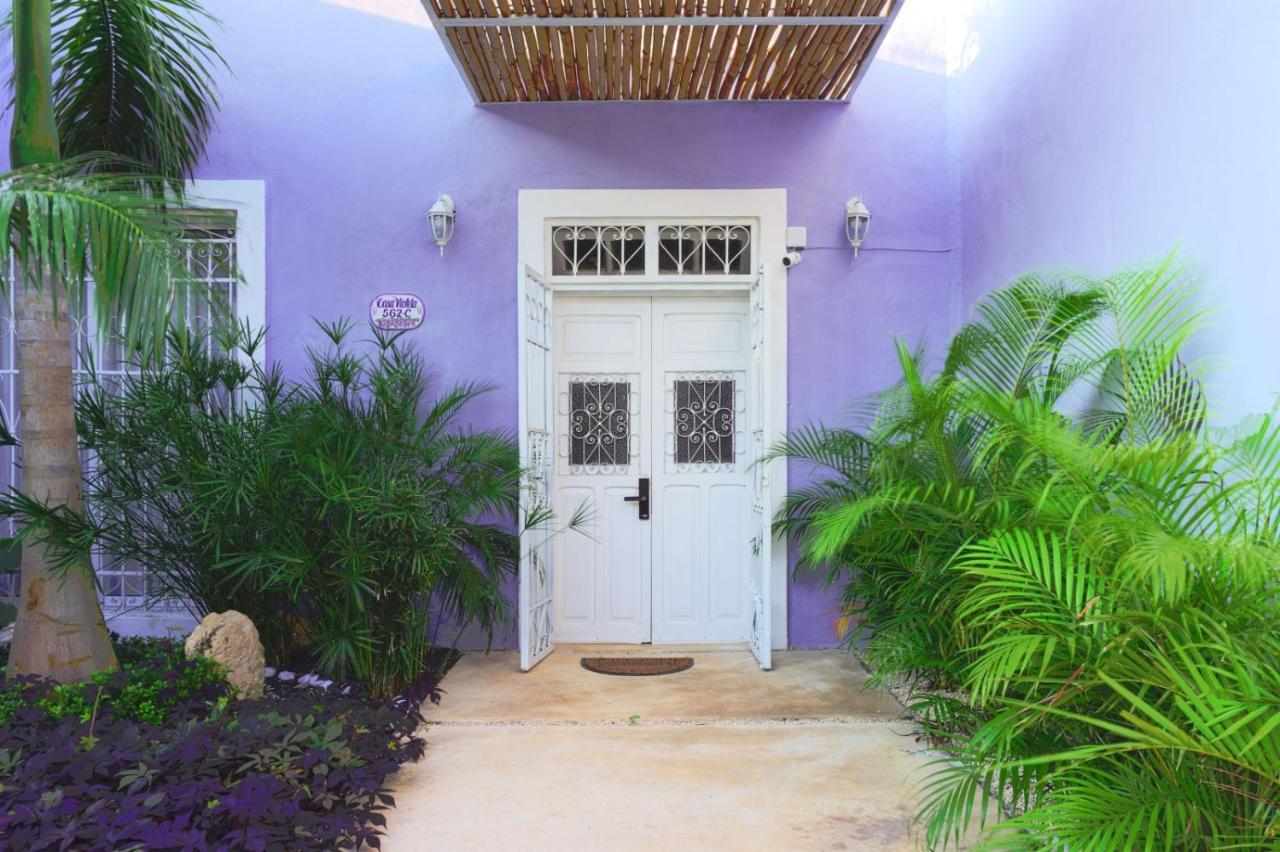 Casa Violeta Βίλα Mérida Εξωτερικό φωτογραφία