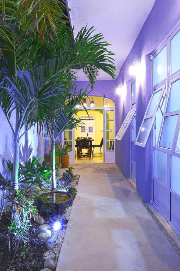 Casa Violeta Βίλα Mérida Εξωτερικό φωτογραφία