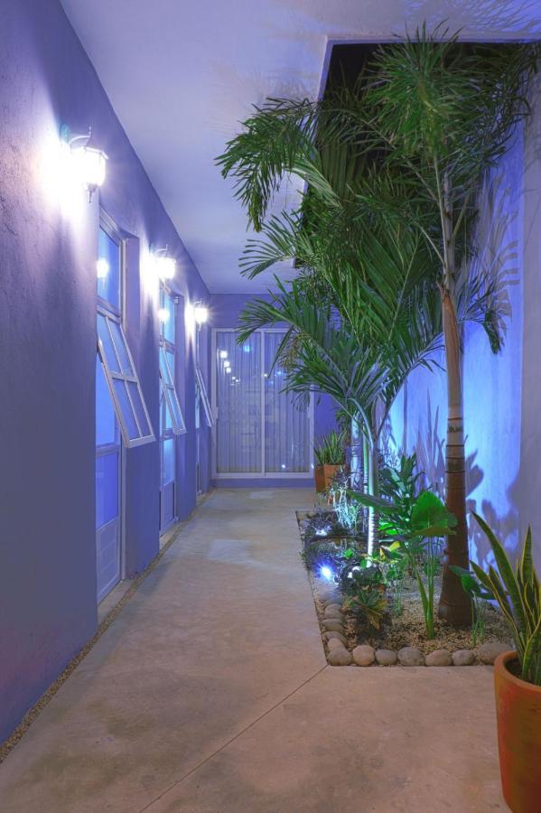 Casa Violeta Βίλα Mérida Εξωτερικό φωτογραφία